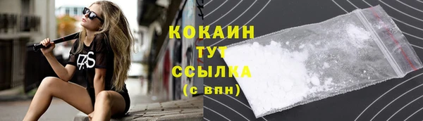 молекула духа Бронницы