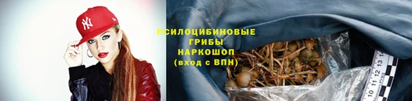 молекула духа Бронницы