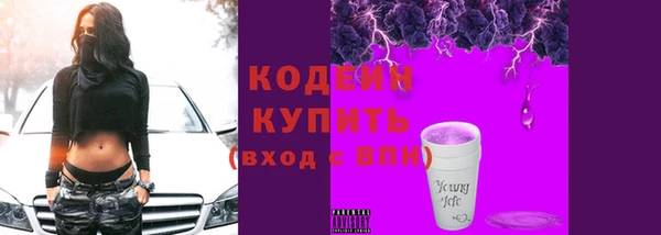 молекула духа Бронницы