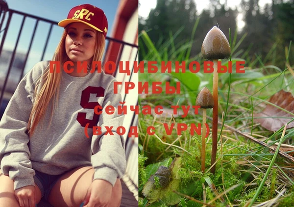 MDMA Premium VHQ Бородино