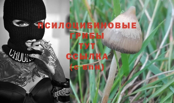 молекула духа Бронницы