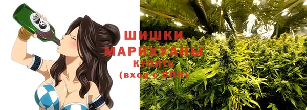 молекула духа Бронницы