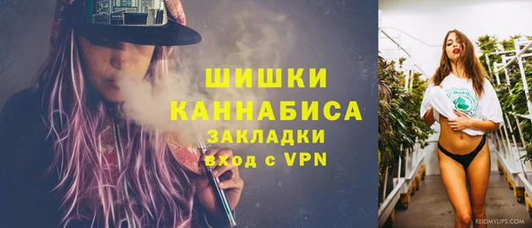 молекула духа Бронницы
