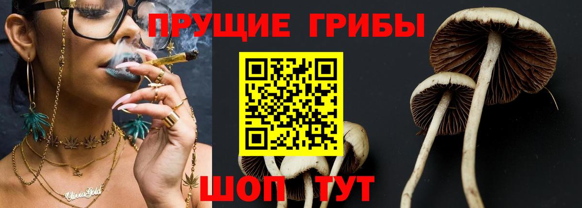 Чебоксары  Галлюциногенные грибы Psilocybine cubensis  Вход с VPN 